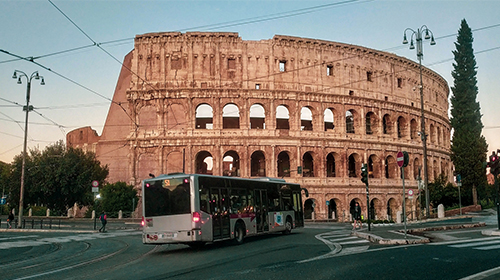 Early Morning Colosseum